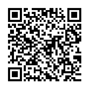 同样是张铁制造出来的一颗颗几乎完全可以以假乱真的桃花……二维码生成