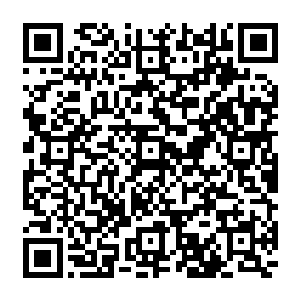 同样结束了巡海夜叉任务的杨元康和凌天院的几个朋友正在整束检查着自己身上的装备二维码生成
