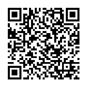 同样身为三眼大巫的亚兰多少感觉出这个孩子的不同二维码生成