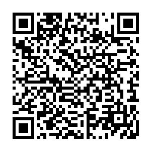 后来严默代表整个九原和枫族萨玛签下了一个永不侵犯黑森林的石板契约二维码生成