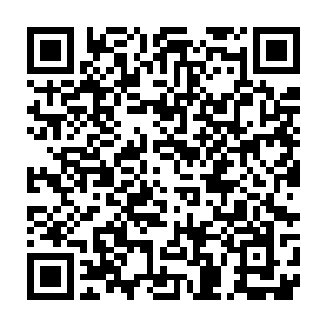 后来刘宗主和我父亲推测会不会是当初万淬从三瘴之地带回来了什么二维码生成