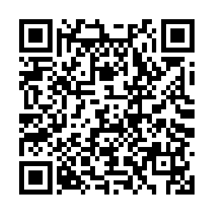 后来才知道只需要轻轻的碰一下它们就自己收起来二维码生成