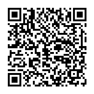 后来渐渐的四大家族的一些大大小小的恩怨也基本上都在武斗场之中进行二维码生成
