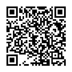 后来的本土记忆也是来自一个小地方小世家中的小透明二维码生成