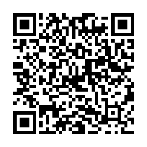 后来科蒂根据自己的高中经历再加上少女早孕这个争议题材二维码生成