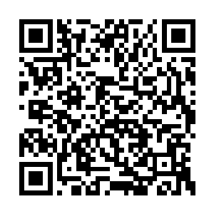 后者在云岭春城上流社会里可是有头有脸的人物二维码生成