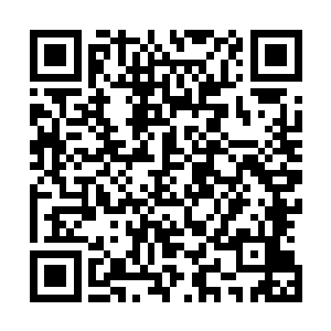 后被下令在无尽之海守护凰殇遗体的孔雀族公主的封印打开二维码生成