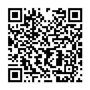 后面的各分区的数字差点亮瞎韩成文的24k氪金狗眼二维码生成