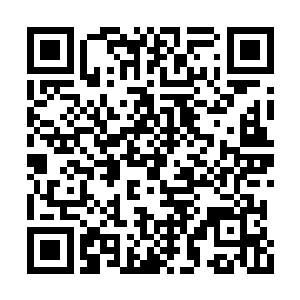 后面的白银鉄蚁踩着同伴的尸体迅速靠近了陈凌二维码生成