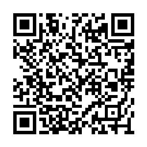 向婉和周晓莉带头领着孩子陪长辈一起回了渝庆二维码生成