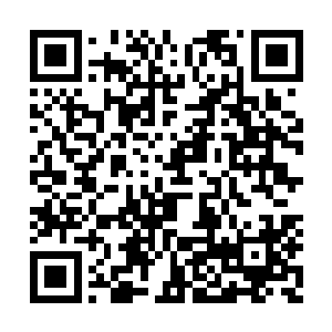 向每一位来者无言的诉说着白日那场血战的惨烈二维码生成