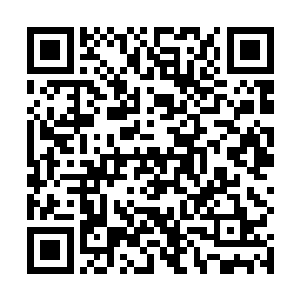 向福等人看到叶楚居然画出了和祭坛上一模一样的图案二维码生成