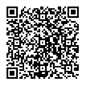 吕惠卿用一种几乎悲壮的精神命令自己那两条瘦骨嶙峋的双臂拖着自己臃肿的胸腹前进二维码生成