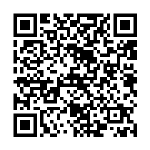 君北月那肃然的眸底掠过一抹连他自己都没察觉的自豪二维码生成