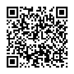 君墨皇对于自家宝贝儿的能力可谓是越来越佩服了二维码生成