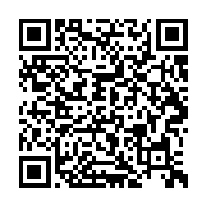 君悦臣虽然不明白夏天萌呆呆看着他是犯什么傻二维码生成