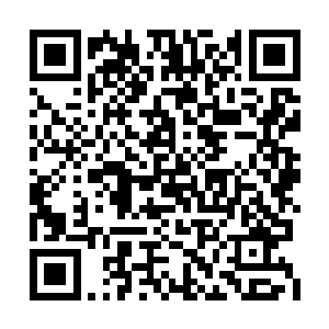 君无妄看着苏小爱的笑容瞬间从羞涩变成了得意二维码生成