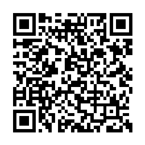 君无极就带着季疏云从这座地下宫殿中走了出来二维码生成