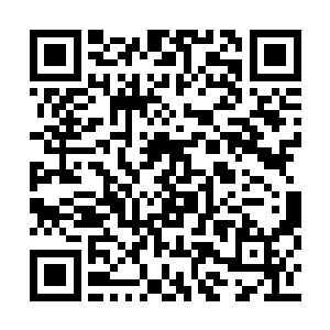 否则…这会增加帮助前辈融合这神树力量的难度二维码生成