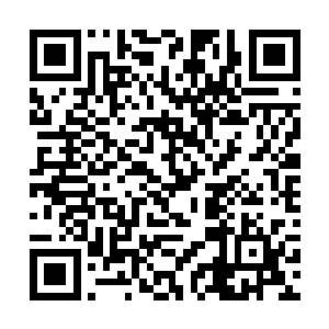 否则也不会派出晏亚和胡波两人一同下去对付李思辰二维码生成