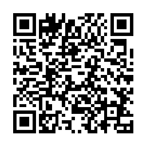 否则你为什么在这部影片中又留下了一个开放式的结局二维码生成