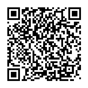 否则你以为我怎么会这么熟悉这里的地形刚好堵在你们的必经之路上二维码生成