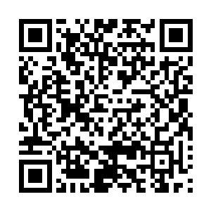 否则日后让墨少轩跟叶子清等人知道了还不得跪榴莲跪死啊二维码生成