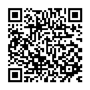 否则早就被那些隐藏起来的神通境妖兽和武道之人给留下来了二维码生成