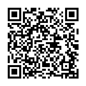 否则的话……恐怕不等他们前面的人赶到沼泽地的时候二维码生成