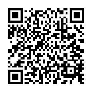 否则这个云仙宗的弟子就没有必要和他们说这么多的废话了二维码生成