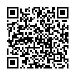 听到张小凡要一次性购买几枚十克拉以上的钻石二维码生成