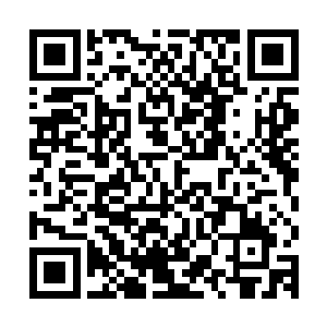 听说小先生回去之后又在南湖省干了件轰动玄学界的大事啊……二维码生成
