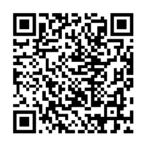 听闻联军居然在她失踪之后就大肆攻击衔尾蛇之环的消息二维码生成