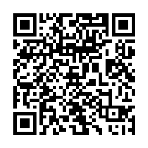 启用跟另一个时空第一季一样的导师阵容刘那庾杨二维码生成