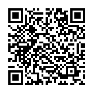 吴尚鹊也就原谅了这些人对他近乎无礼的不合适言行二维码生成