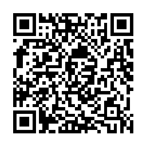 吴岩把八卦阵眼外负责守御的噬血妖藤全部留在了原处外二维码生成