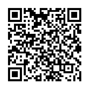 吴幸脸色尤为不善的挡在大门口盯着那三个容貌相似二维码生成