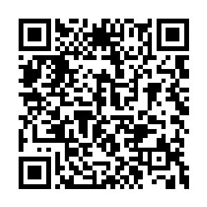 吸收灵气的速度也不知道要超过正常修士多少倍二维码生成