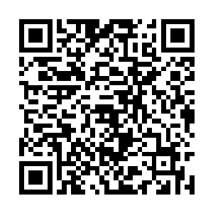 告诉他你是木火双系而且还是未来的空间元素法师二维码生成