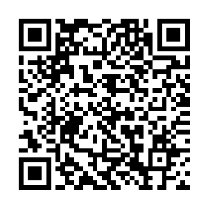 告诉他我正对阵血灵以及我现在导出煞气的浓郁程度二维码生成