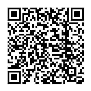 告诉咕仔小舞对他思念成疾说我准备把他强制瞬移出阴珠来陪小舞玩耍二维码生成