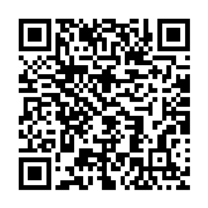 周围茂密的树林中柔和的灯光就投射出一栋低矮的热带平房来二维码生成