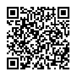 周家在城内……好像也就是一个初阶的防御灵阵二维码生成