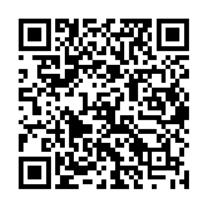 周昌全和侯卫东一行与上青林望日村的野猪发了遭遇战二维码生成