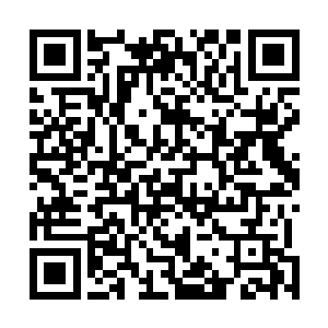 周是和唐果在苏青黛的书房里发现了苏墨儿的整套样本书二维码生成