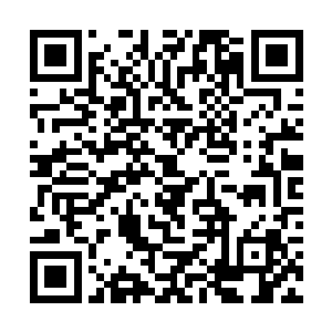 周正德真正失声叫起来的原因却并非这两种灵草少见二维码生成