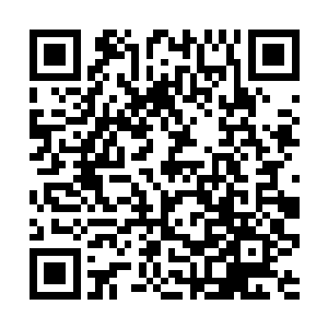呵……难道他是想通过视频通话的形式来向我求情吗二维码生成