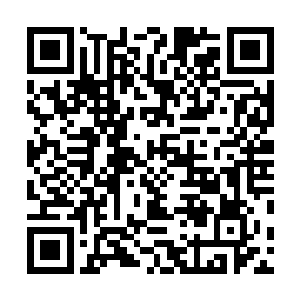 和之前的血肉傀儡一模一样的巫师从碎石和灰尘当中出来二维码生成