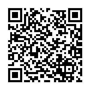 和之前那枚血星果几乎一模一样的黑果子躺在里面二维码生成