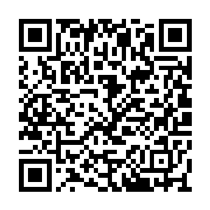 和之前陈小练见过的那种防护衣在造型上很相似二维码生成